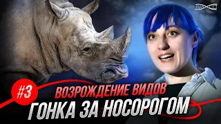 Воскрешение видов. Гонка за носорогом