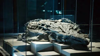 A Fossil Excavation Goes Wrong in the Worst Possible Way