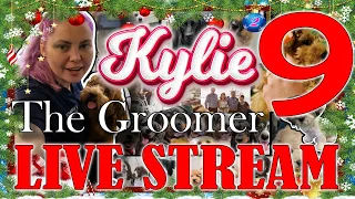 Kylie the Groomer Live stream.