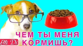 СОСТАВ: КАК ВЫБРАТЬ КОРМ ДЛЯ СОБАКИ ИЛИ КОШКИ | Elli Di Pets