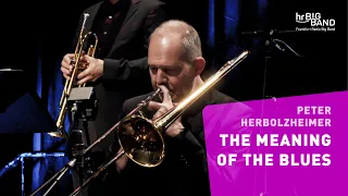 Herbolzheimer: "THE MEANING OF THE BLUES" | Frankfurt Radio Big Band | Jazz | Funk