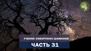 Аудиокнига "Учение сибирских шаманов". Часть 31. Магические амулеты и талисманы в шаманизме.