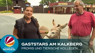 Karl-May-Spiele 2022: Prominente Gaststars und tierische Kollegen proben am Kalkberg