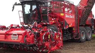 Holmer T5-40 - John Deere - Bergmann / Rübenernte - Harvesting Beets  2022