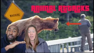 THESE PEOPLE ALMOST DIDN'T MAKE IT | Near Death Animal Encounters  | Scary Animals Close Calls