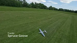 Franks Spruce Goose