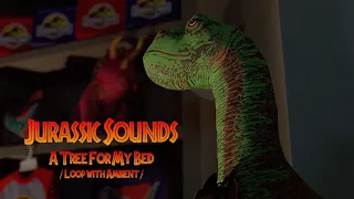 Jurassic Sounds - A Tree For My Bed (Loop with Ambient)