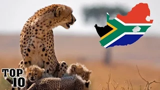 Top 10 Things To Do In South Africa