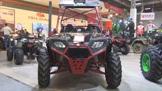 Yuki Motor Thor UTV 250 Offroad (2019) Exterior and Interior