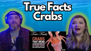 True Facts: Incredible Crab Stories @zefrank | HatGuy & @gnarlynikki React