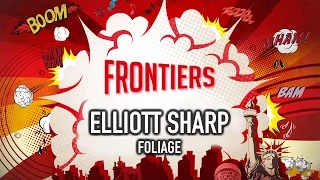 Frontiers Festival 2014: Elliot Sharp - Foliage