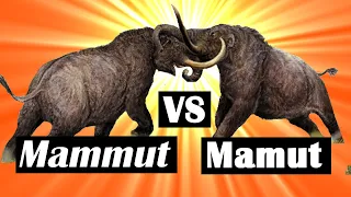 DLACZEGO Mammut TO NIE mamut?! Czyli czym różnił się mastodon od mamuta