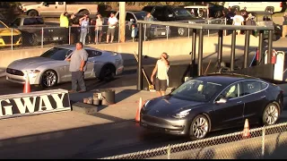Tesla Model 3 vs Challenger R/T and S550 Mustang GT 1/4 Mile
