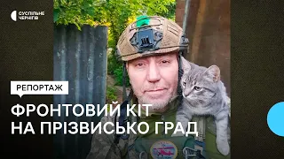 Ловив мишей і спав у касці: кіт Град допоміг військовим купити авто, засоби зв'язку, зарядні станції