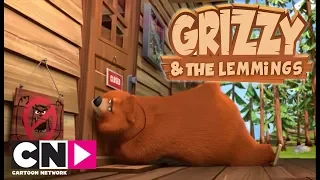 Ayılar Giremez | Grizzy ve Lemmingler | Boomerang Kuşağı