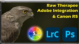 Raw Therapee, Lightroom & Photoshop Integration plus Canon R5 image thoughts!