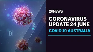 COVID-19 Update 24 June - Borders slam shut as Bondi cluster expected to grow | ABC News