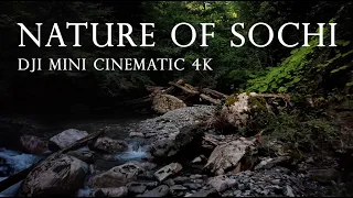 DJI Mini Cinematic 4K Nature of Sochi