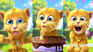 talking ginger funny cat videos 🤣 trending episodes 🤣 eating healthy foods 🥪🍓🥞🌶️🍉🍔🍍🧆😲 #catlover #cat