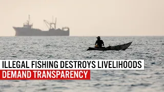 Illegal fishing destroys livelihoods