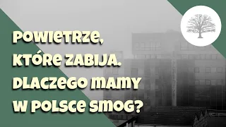 Zanieczyszczenie powietrza - skąd się zimą bierze smog w Polsce?