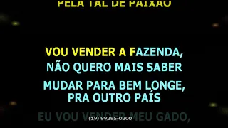 Fernando e Sorocaba • Camionete branca + Doutor do agronegócio • Feat  Paulinho Mocelin