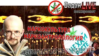 Антропология и психология наркомании. Наркокультура и борьба с распространением наркотиков.