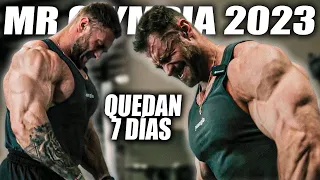 CHRIS BUMSTEAD QUEDAN 7 DIAS PARA GANAR EL MR OLYMPIA 2023 ASI ENTRENA HOMBROS - Victor Valdivia