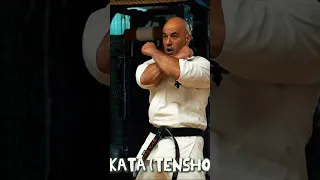 Kata tensho di senpai Luigi ( karate kyokushin )