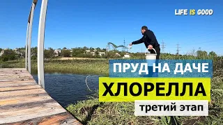 Третий этап внесения культуры хлореллы в пруд на даче в мае!