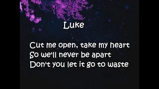 5 Seconds Of Summer - When You Walk Away (Lyrics)