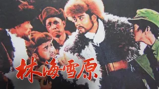 1080P高清修复 经典国产战争片《林海雪原》1960 主演: 张勇手 / 王润身 / 梁志鹏 / 崔荣久 | 中国老电影