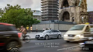 She Will Hurt You - Zviad Bekauri