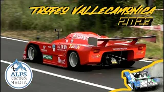 Trofeo Vallecamonica 2023 | Best of - crash & fails - malegno borno hillclimb cronoscalata [HD]