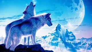Diverze - The Wolf (Hardstyle) | HQ Videoclip
