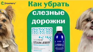 Раскрываем профессиональные секреты: как у грумеров получается убрать слезные дорожки у собак