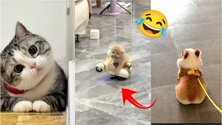 New Funny Videos 2023 😂 Cutest Cats and Dogs 🐱😸 part 12