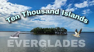 Ten Thousand Islands Tour | Everglades National Park