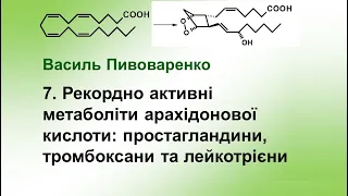 7. Рекордно активні метаболіти арахідонової кислоти: простагландини, тромбоксани та лейкотрієни