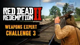 Red Dead Redemption 2 Weapons Expert Challenge #3 Guide - Kill 3 birds of prey using only a tomahawk