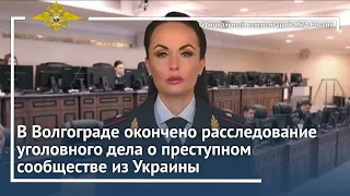 Ирина Волк: В Волгограде окончено расследование уголовного дела о преступном сообществе из Украины