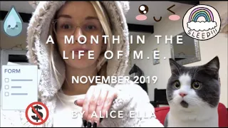 NOVEMBER 2019 - A Month In The Life Of M.E. - by Alice Ella