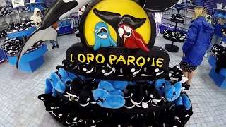 Loro Parque Orca and Sea Lion Shows