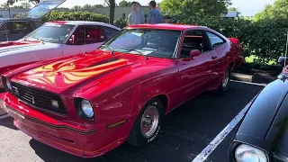 Mustang II Reunion VIII