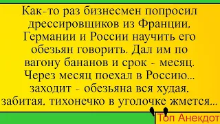 Как русский обезьяну дрессировал... Лучшие длинные анекдоты и жизненные истории 2022