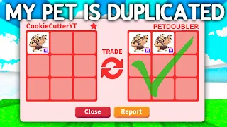 How Someone DUPLICATED My PETS In Adopt Me!