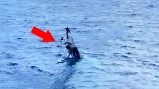 Sailor Makes Chilling Discovery in the Middle of the Ocean by Accident