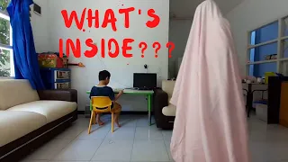 Living Room Bedsheet / Blanket Ghost Prank