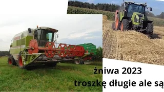 zniwa 2023?! trochę pózno jak na żniwa ale ważne że są!! GR DZIKOWSKI