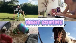 ♡ Night Routine - Floral Equestrian ♡